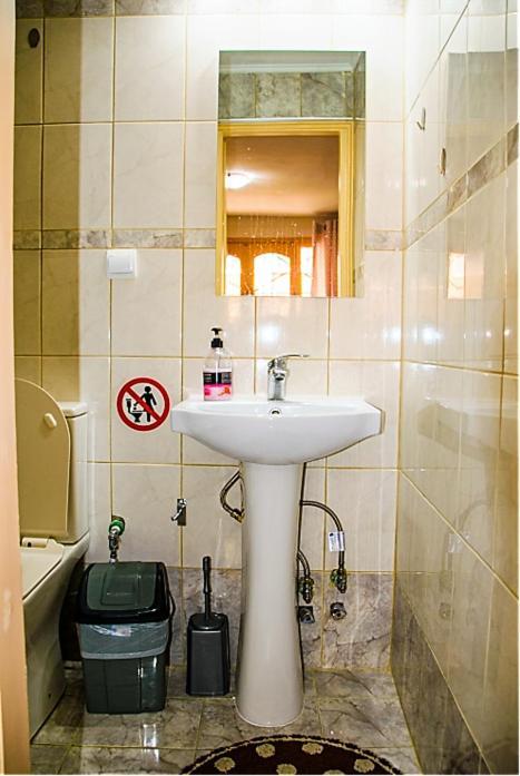 Smart Travellers Apartment